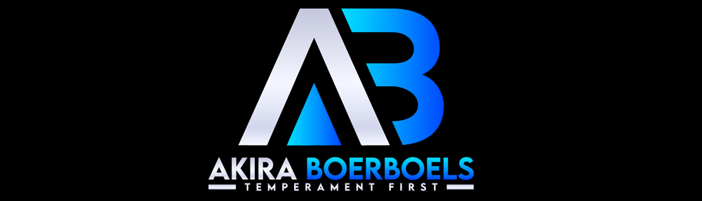 Akira Boerboels